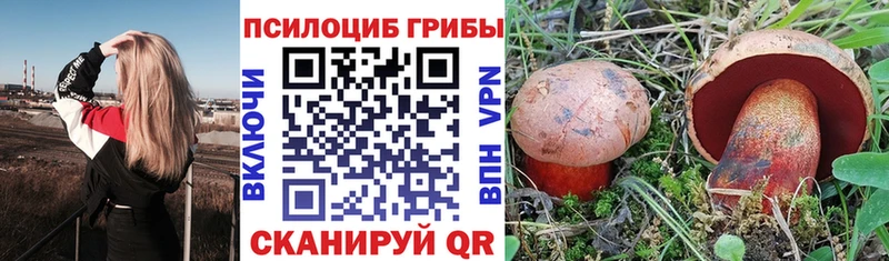 Купить закладки  Анадырь  Псилоцибиновые грибы Psilocybine cubensis 